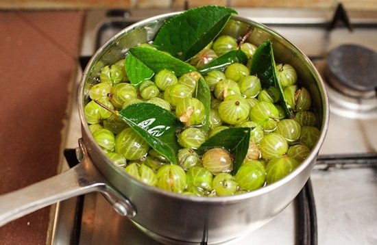 Как сварить варенье из грецких орехов зеленых
