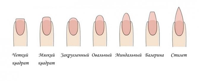 Виды