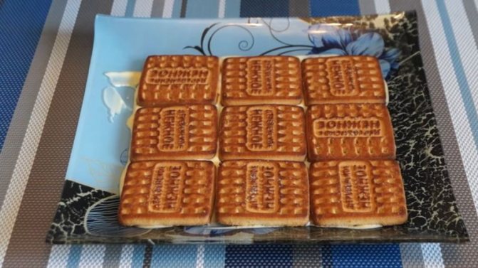 Торт из печенья без выпечки — 7 вкусных рецептов в домашних условиях