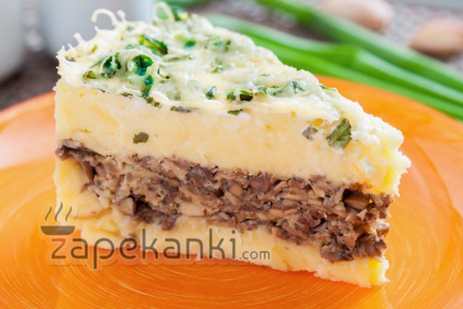 Вкусная артофельно-грибная запеканка в духовке пошагово в духовке