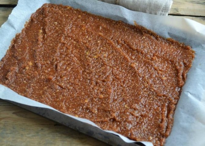 Пастила из яблок в домашних условиях: простые пошаговые рецепты