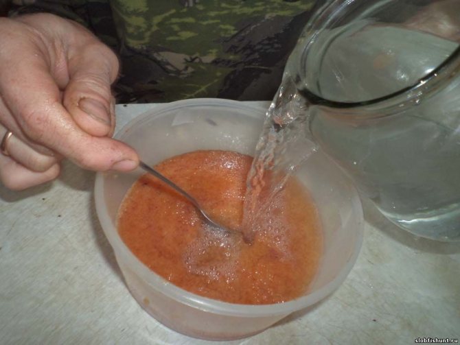 Вкусные рецепты, как посолить икру щуки в домашних условиях