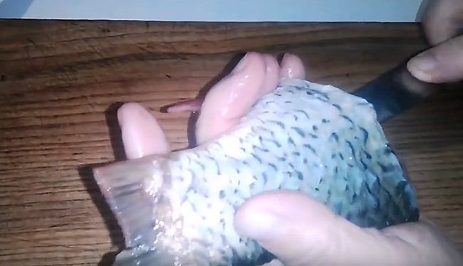 Заливное (холодец) из рыбы: 9 простых и вкусных рецептов заливной рыбы