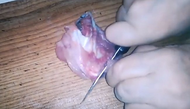 Заливное (холодец) из рыбы: 9 простых и вкусных рецептов заливной рыбы