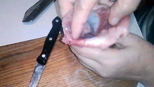 Заливное (холодец) из рыбы: 9 простых и вкусных рецептов заливной рыбы