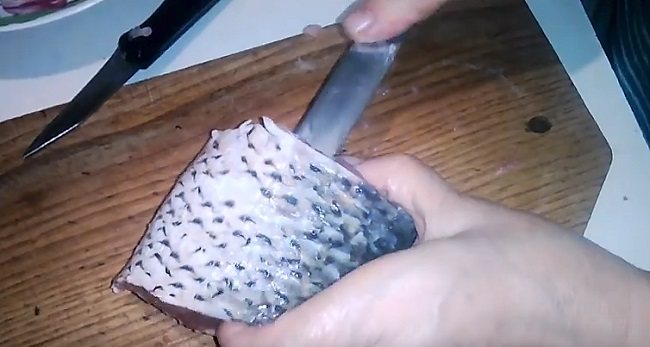 Заливное (холодец) из рыбы: 9 простых и вкусных рецептов заливной рыбы