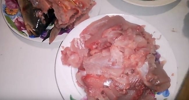 Заливное (холодец) из рыбы: 9 простых и вкусных рецептов заливной рыбы