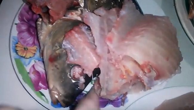 Заливное (холодец) из рыбы: 9 простых и вкусных рецептов заливной рыбы