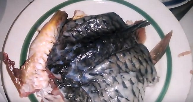 Заливное (холодец) из рыбы: 9 простых и вкусных рецептов заливной рыбы