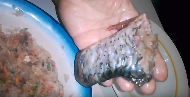 Заливное (холодец) из рыбы: 9 простых и вкусных рецептов заливной рыбы
