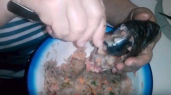 Заливное (холодец) из рыбы: 9 простых и вкусных рецептов заливной рыбы