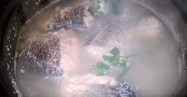 Заливное (холодец) из рыбы: 9 простых и вкусных рецептов заливной рыбы