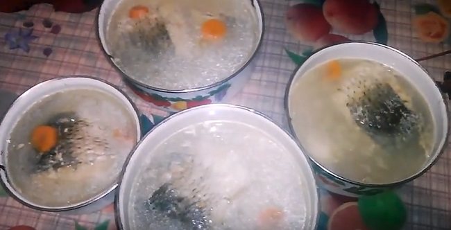 Заливное (холодец) из рыбы: 9 простых и вкусных рецептов заливной рыбы