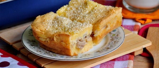 Пироги с майонезом и сметаной – нежно! Готовим наливные и закрытые пироги с майонезом и сметаной с разной начинкой