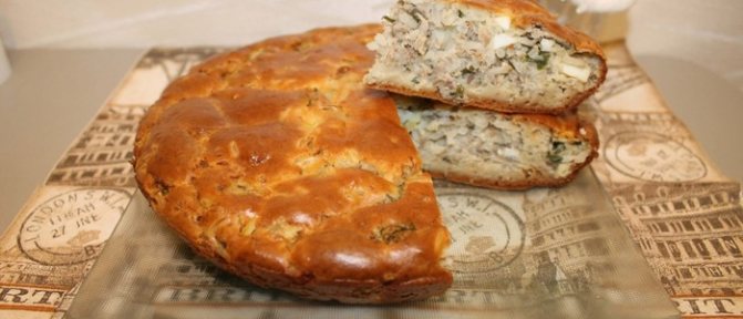 Пироги с майонезом и сметаной – нежно! Готовим наливные и закрытые пироги с майонезом и сметаной с разной начинкой