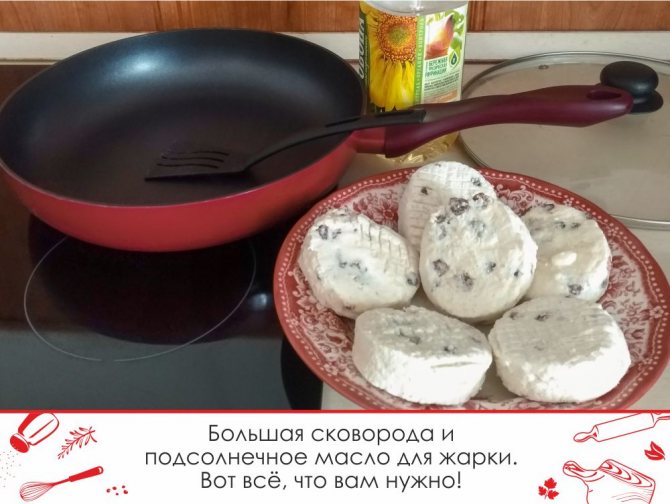 Пышные сырники из творога по классическому рецепту