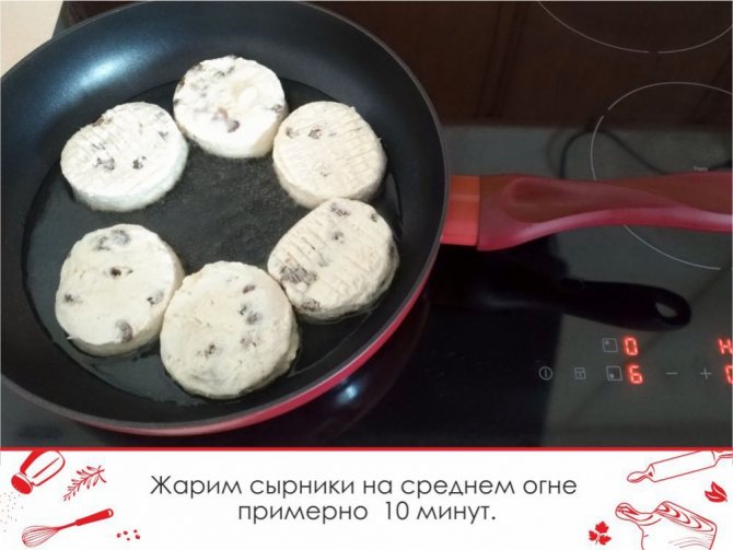 Пышные сырники из творога по классическому рецепту