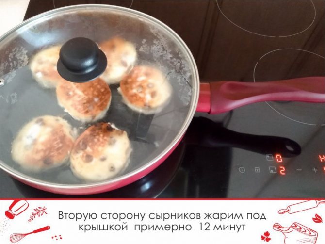 Пышные сырники из творога по классическому рецепту