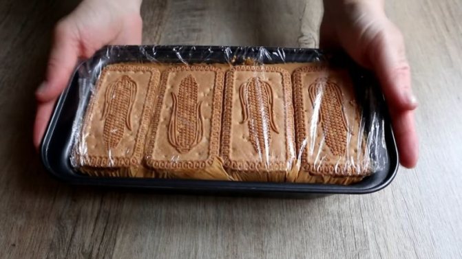Торт из печенья без выпечки — 7 вкусных рецептов в домашних условиях