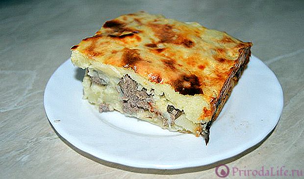 Картофельная запеканка с грибами — 5 рецептов приготовления в духовке
