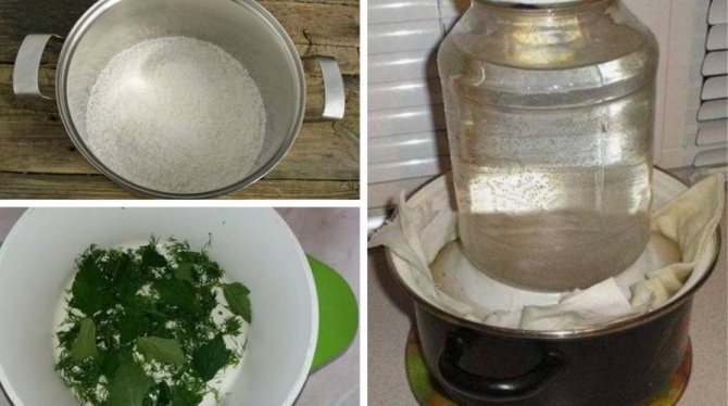 Засолка грибов холодным способом