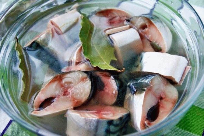 5 вкусных рецептов засолки рыбы в домашних условиях